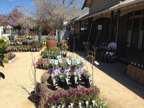 Photo: Botanical Nursery